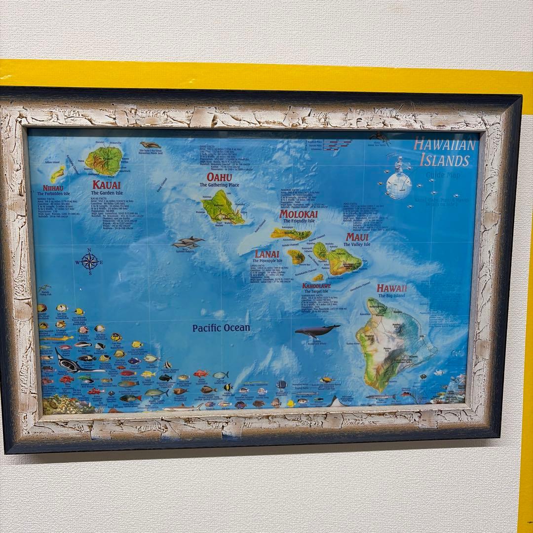 ハワイ島の説明絵画