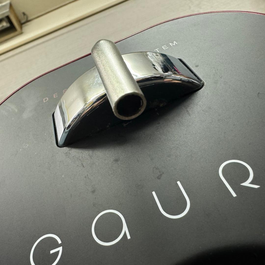 ☆GAURA　水素水生成器　GAURA mini　GH-T1　レッド　ガウラ