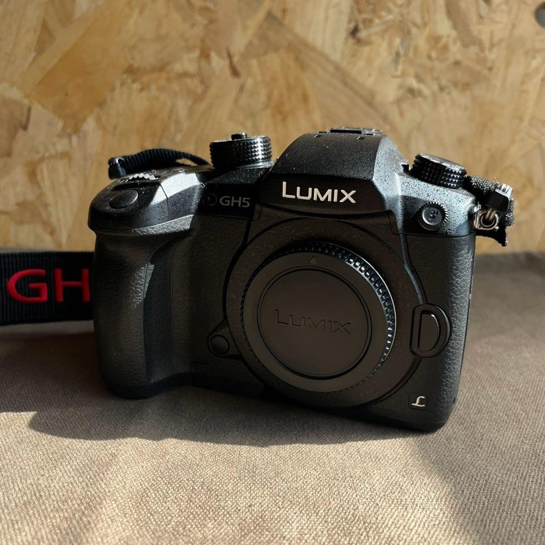 Panasonic LUMIX GH5 ボディ DC-GH5