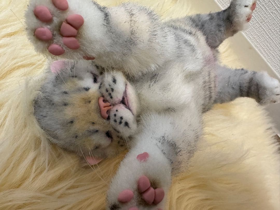 海外作家様作　アートドール　ネコの赤ちゃん