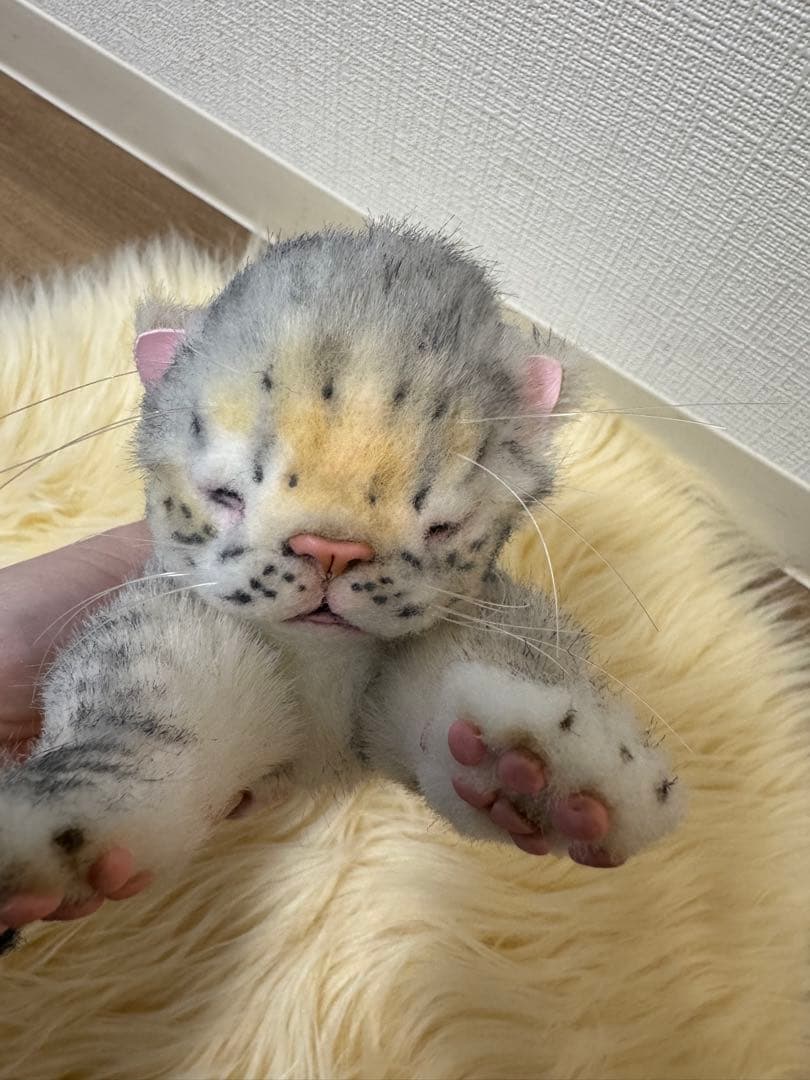 海外作家様作　アートドール　ネコの赤ちゃん