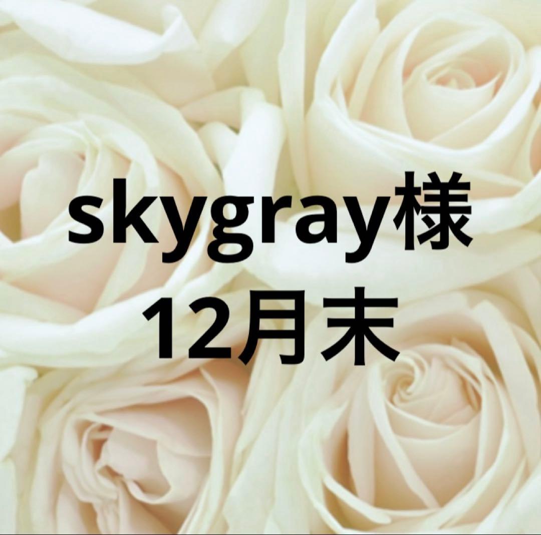 skygray品オルゴナイト