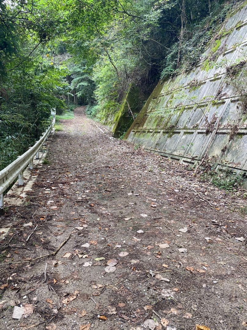 はちみつ　日本蜜蜂のハチミツ　巣箱違いの蜂蜜　奥山の奥