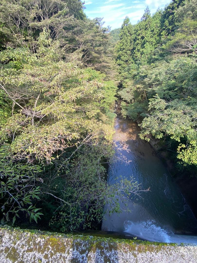はちみつ　日本蜜蜂のハチミツ　巣箱違いの蜂蜜　奥山の奥