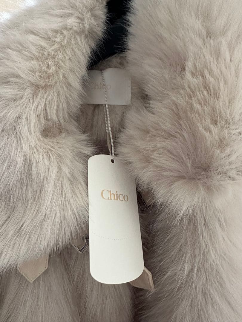 Chico プードルコート