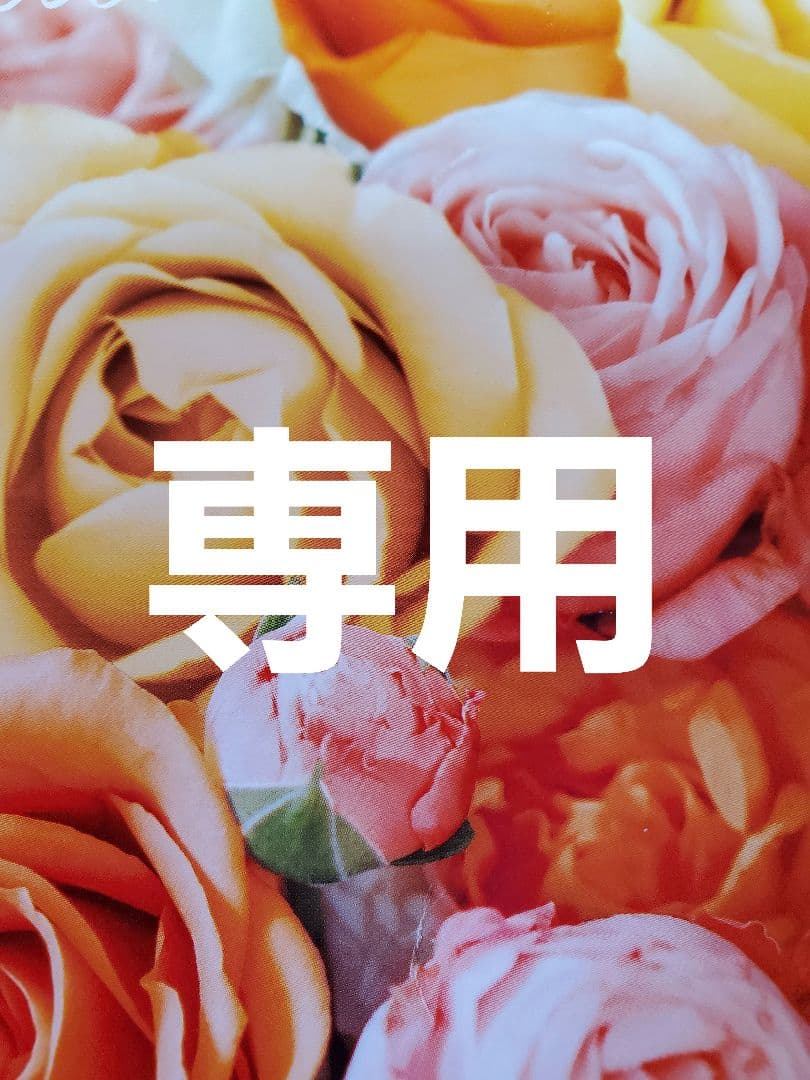 SAO  他の方は購入をお控え下さい