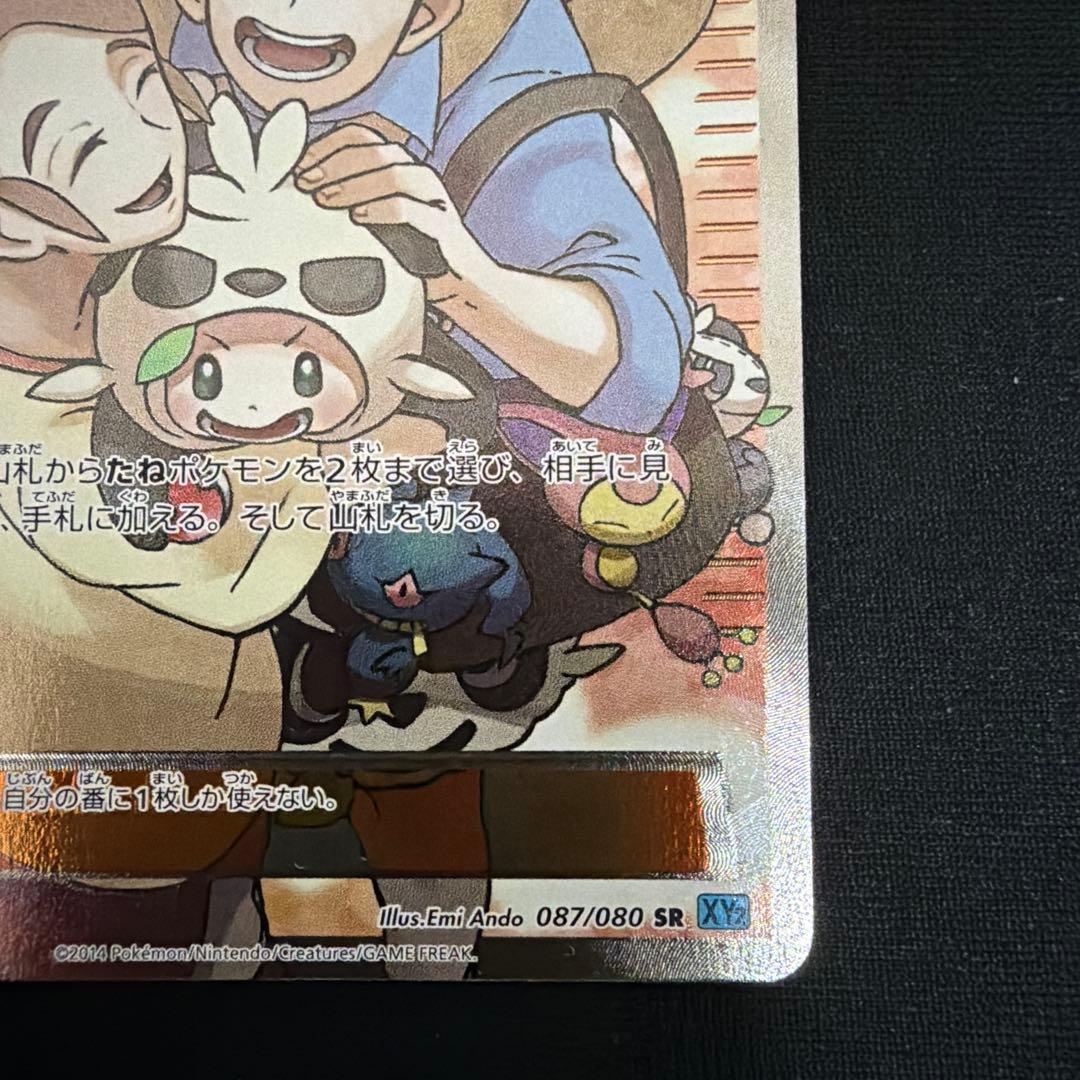 ち*る様 ポケモンだいすきクラブ SR XY2 ワイルドブレイズ 087/080