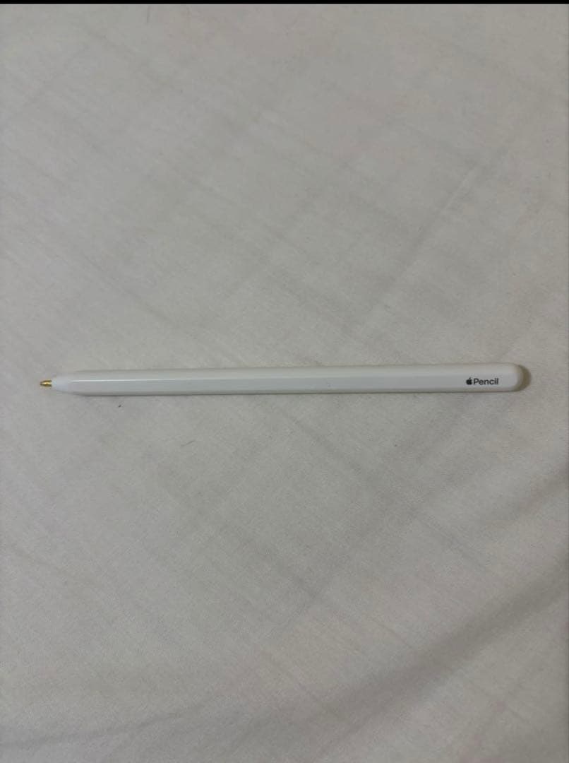 付属品多数‼️ iPad Pro 12.9インチ 第4世代