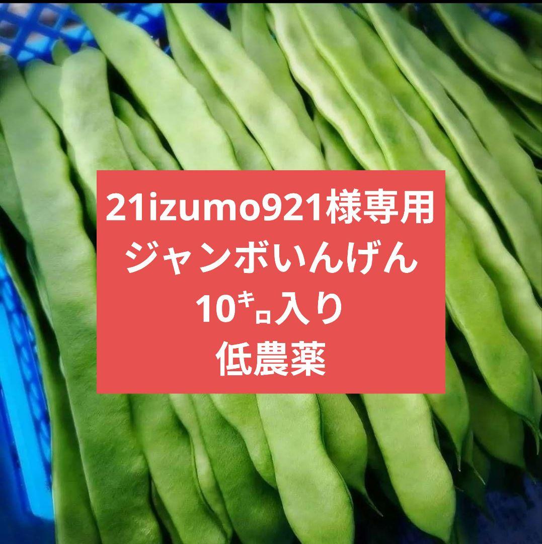 ジャンボいんげん10㌔21izumo921専用