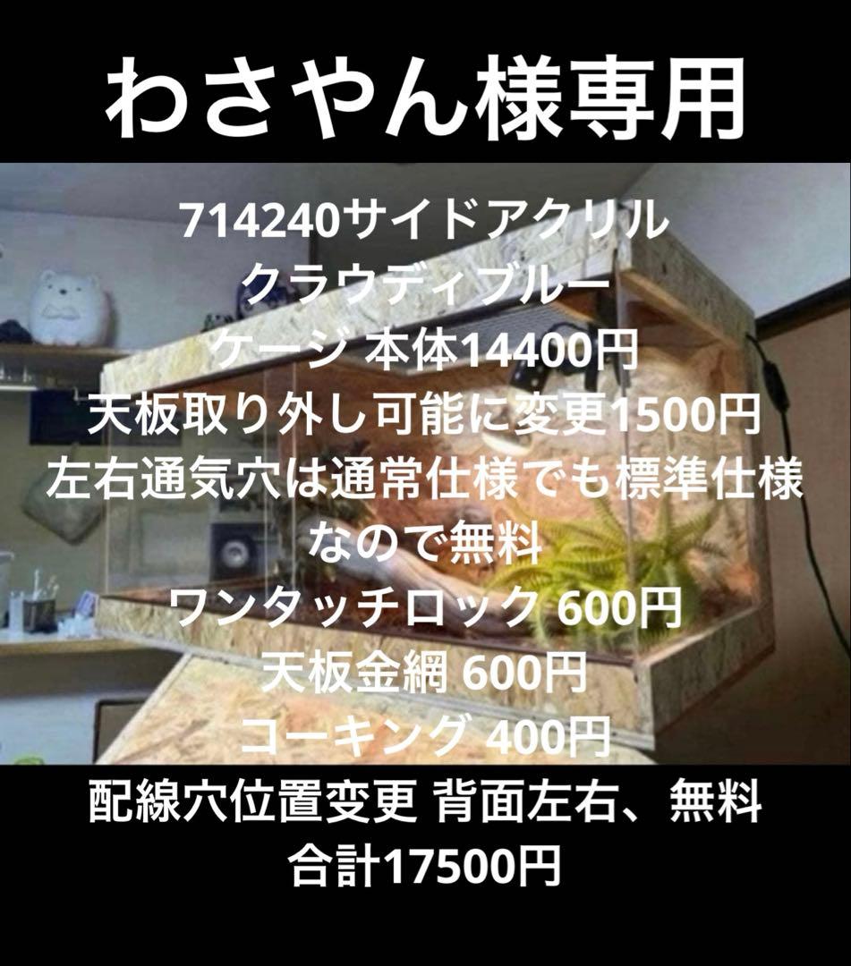 わさやん　714240 サイドアクリルクラウディブルー