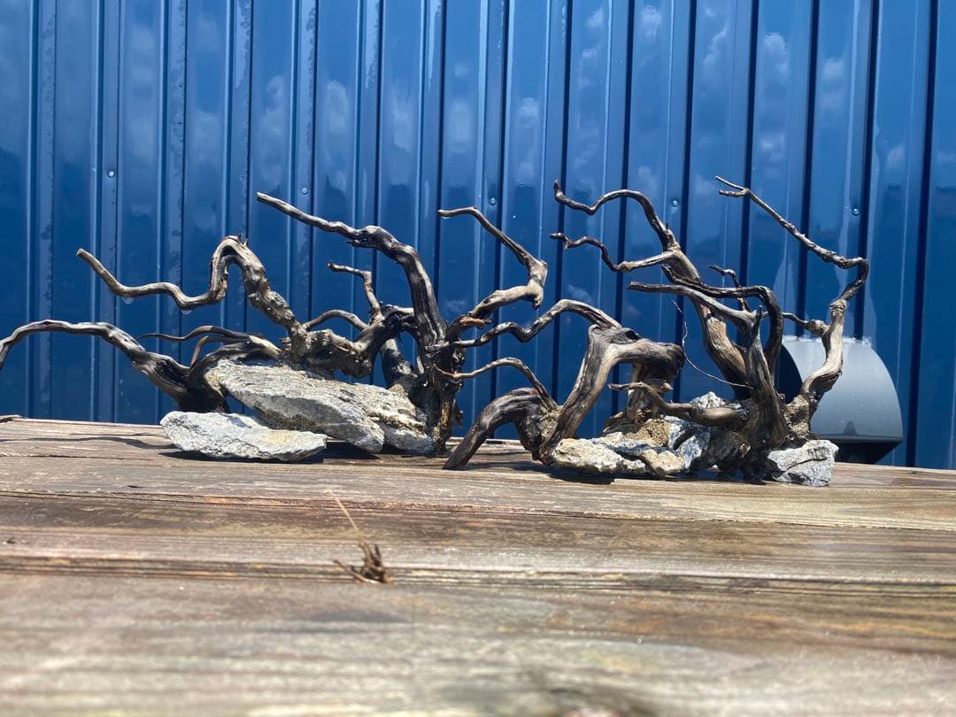 流木レイアウト 2点セット　A853