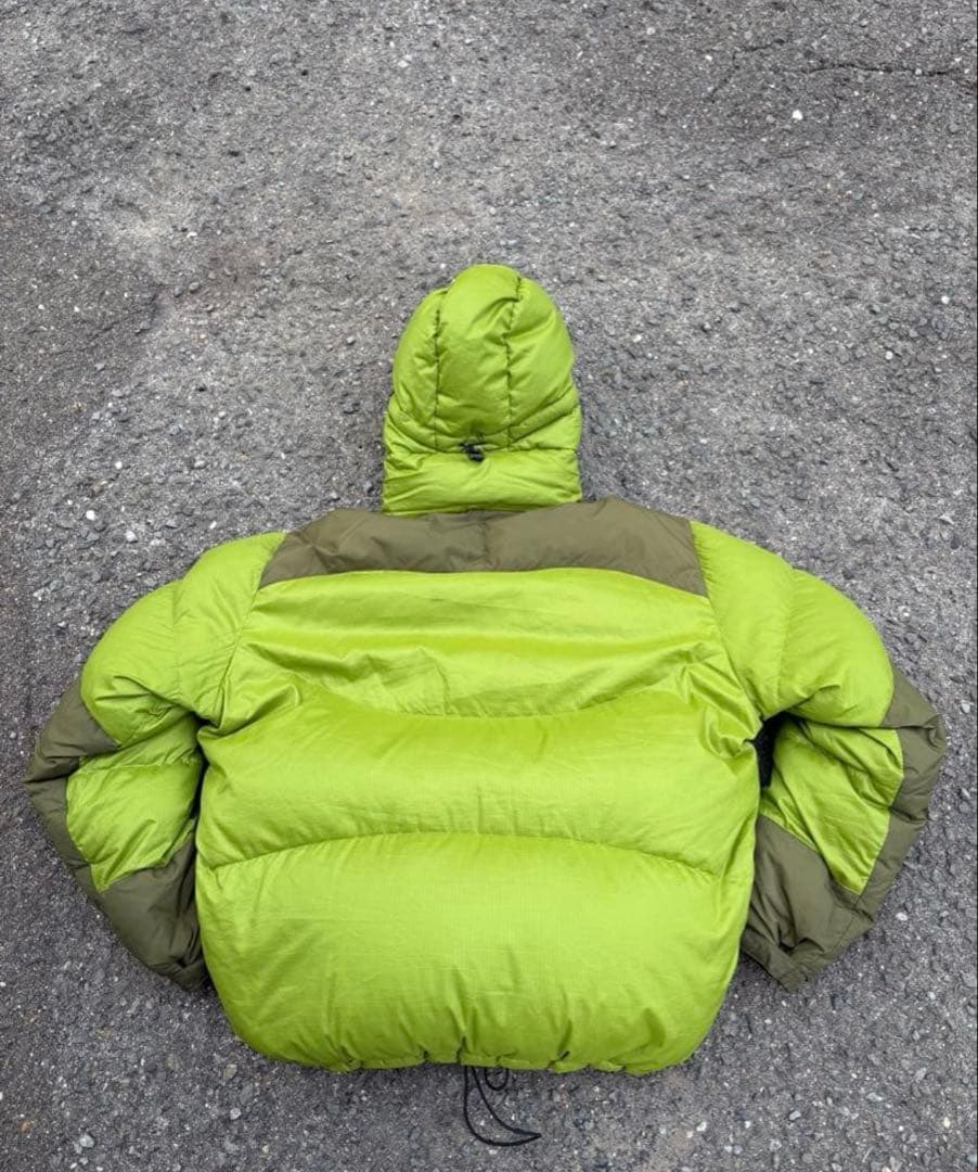 【希少】patagonia ダウンパーカー　ゲッコーグリーン Lサイズ