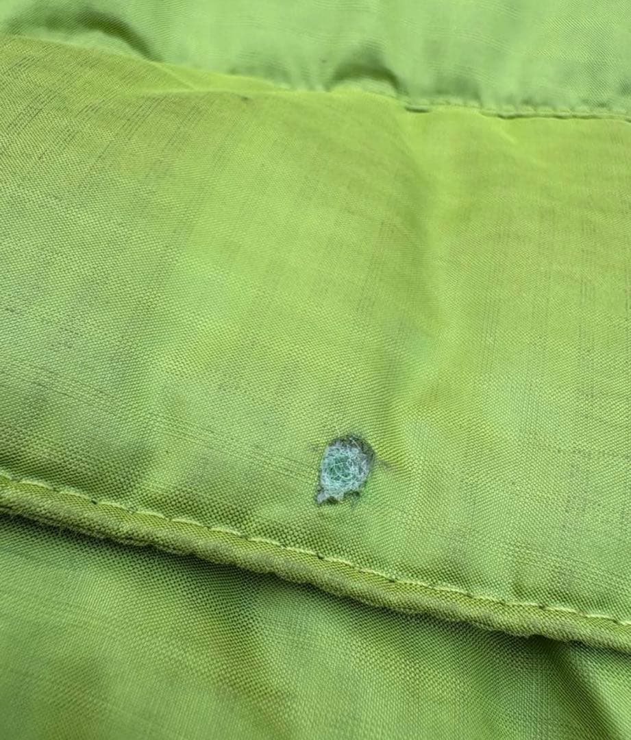 【希少】patagonia ダウンパーカー　ゲッコーグリーン Lサイズ