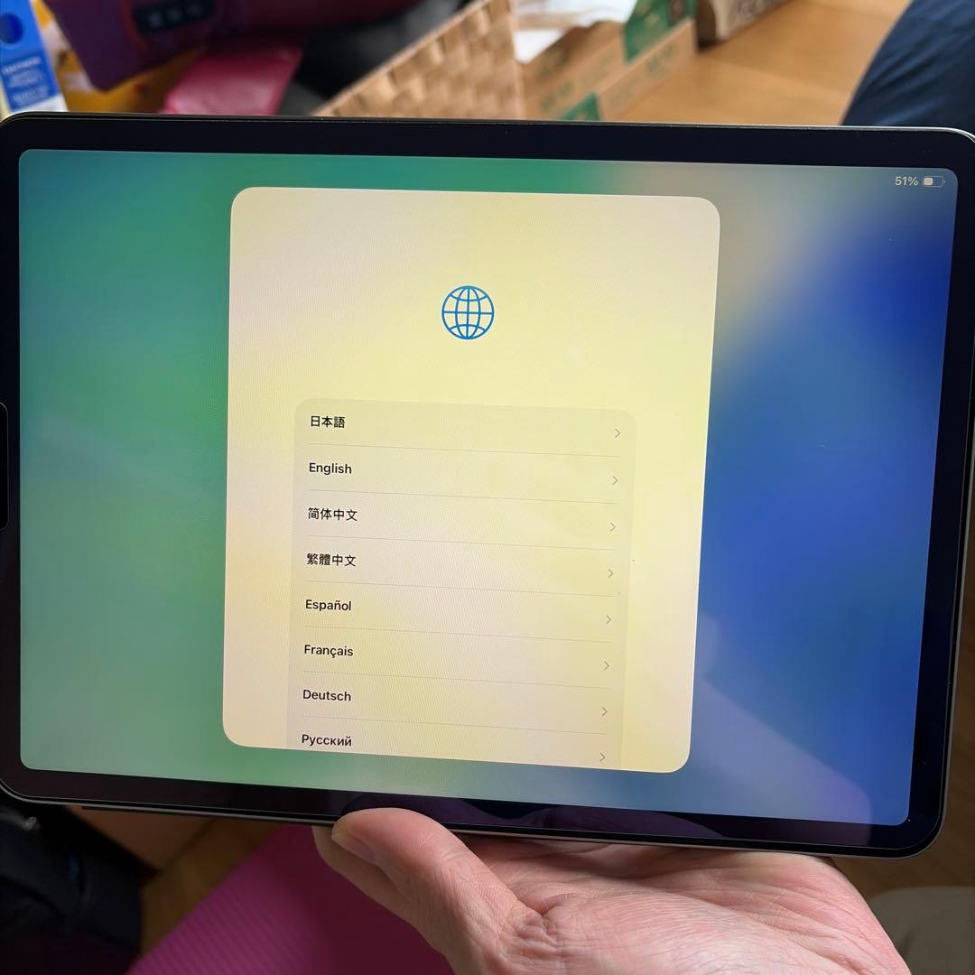 iPad Pro 第四世代グレー 専用カバー付き
