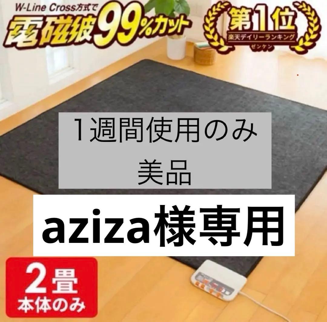 【美品】電磁波99%カット　電気ホットカーペット ZCB-20P 2畳　本体のみ