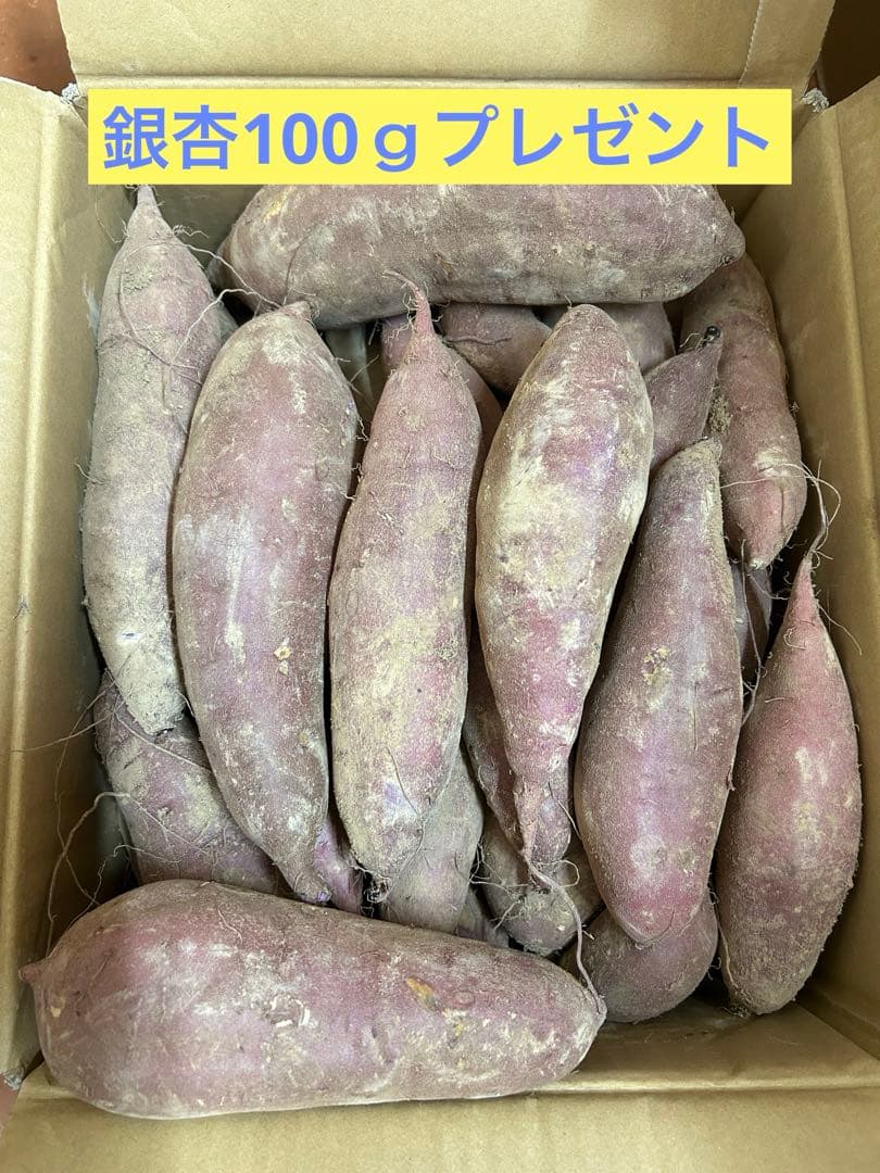 熟成紅あずま さつまいも 大分県豊後大野市超熟成紅あずま20kg