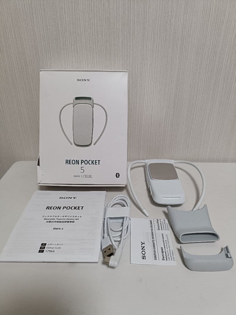 SONY REON POCKET 5 ソニー レオンポケット 5