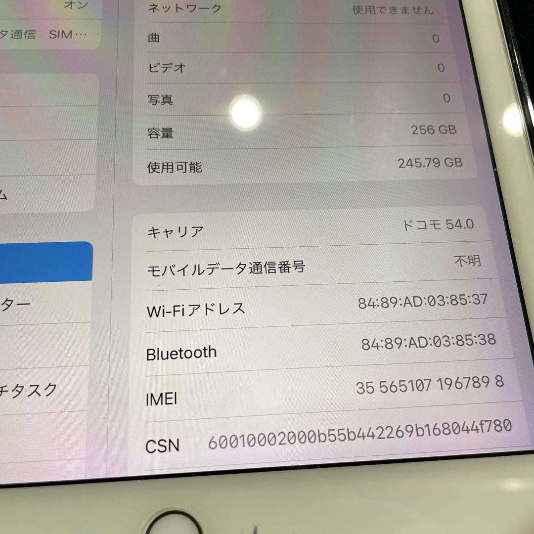 iPadPro初代 9.7 256G セルラー Apple Pencil付き