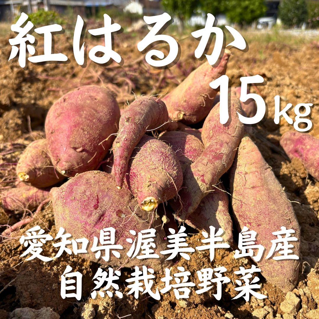 さつまいも『紅はるか』15kg ★無肥料・無農薬★