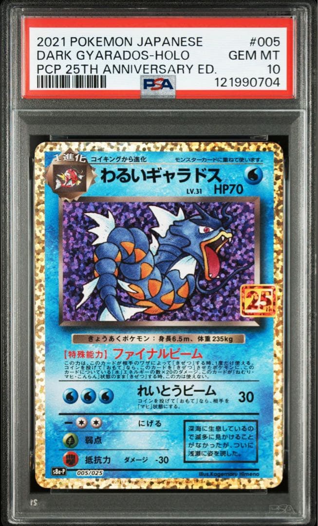 わるいギャラドス25th