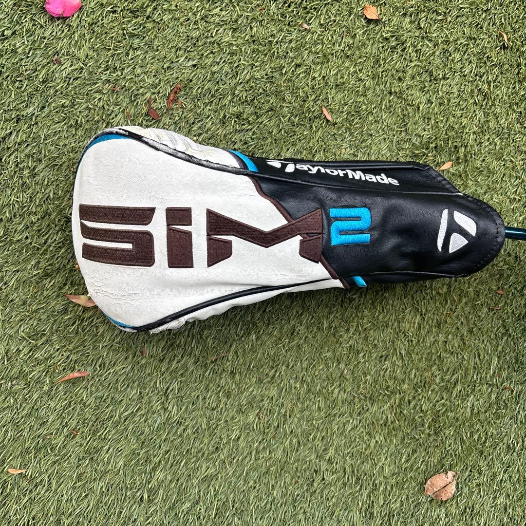 SIM2 MAX ドライバー