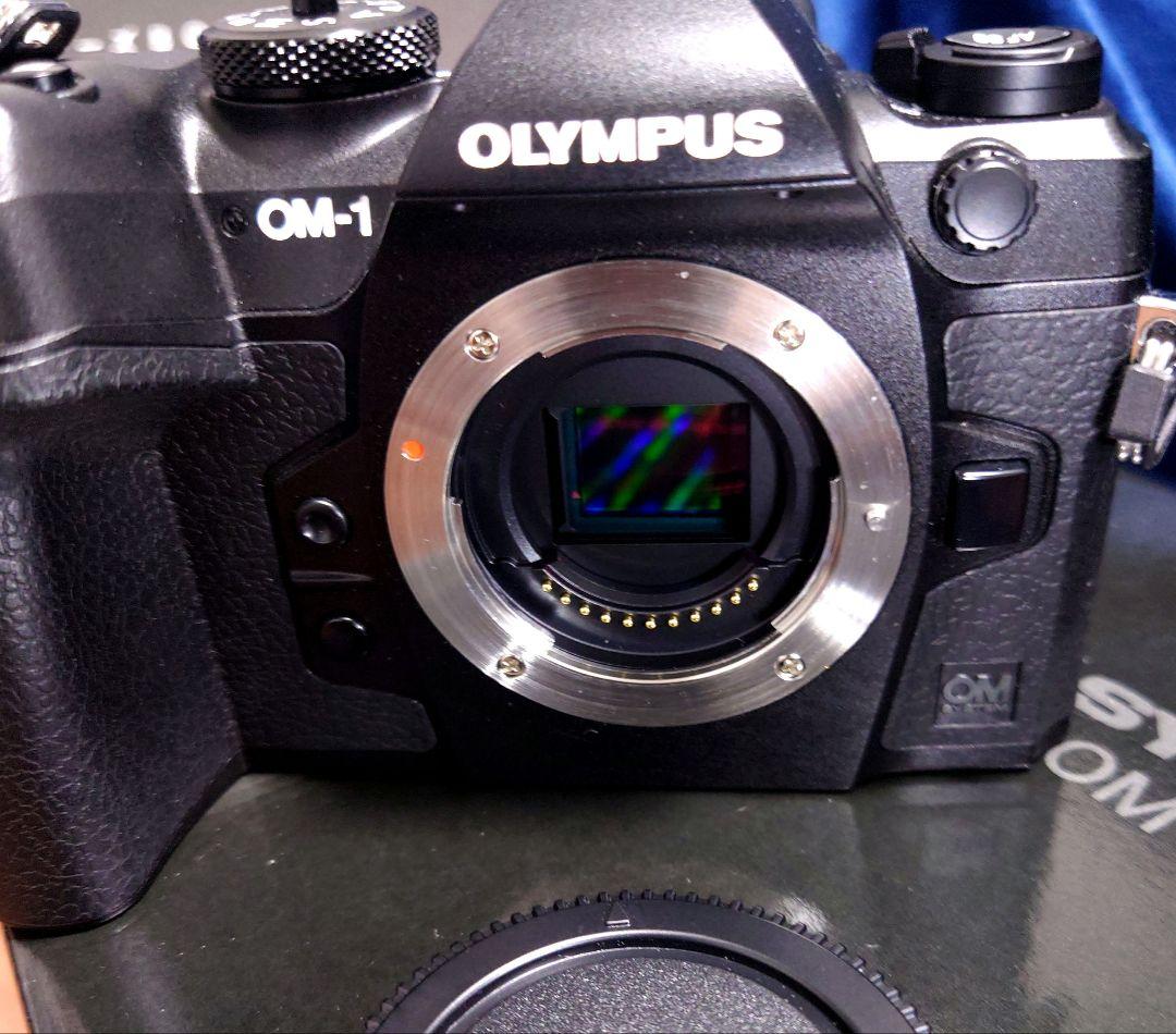 極美!シャッタ僅か1215回! OMsystem OM-1 元箱.保証.属有