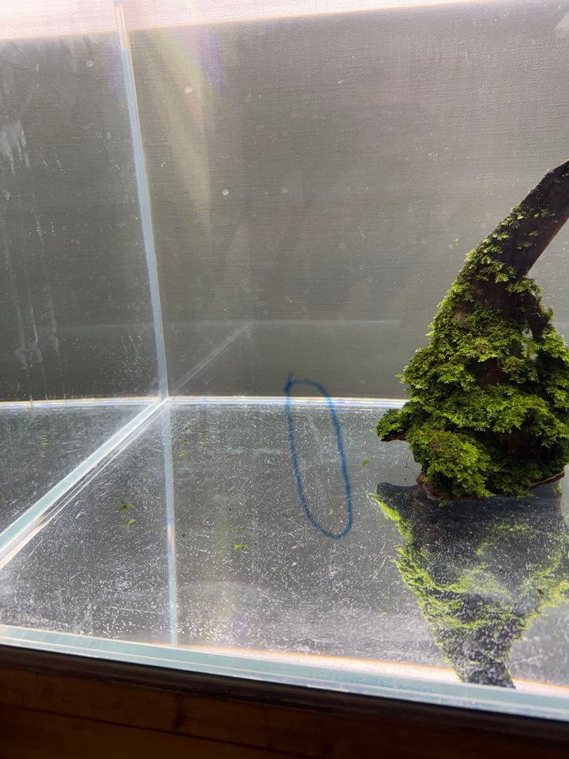 水槽セット　引取限定or配達　発送不可