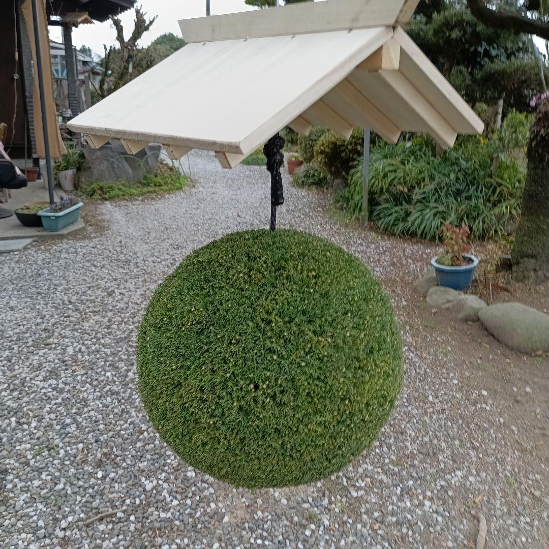 杉玉　直径約37ｃｍ　屋根付き