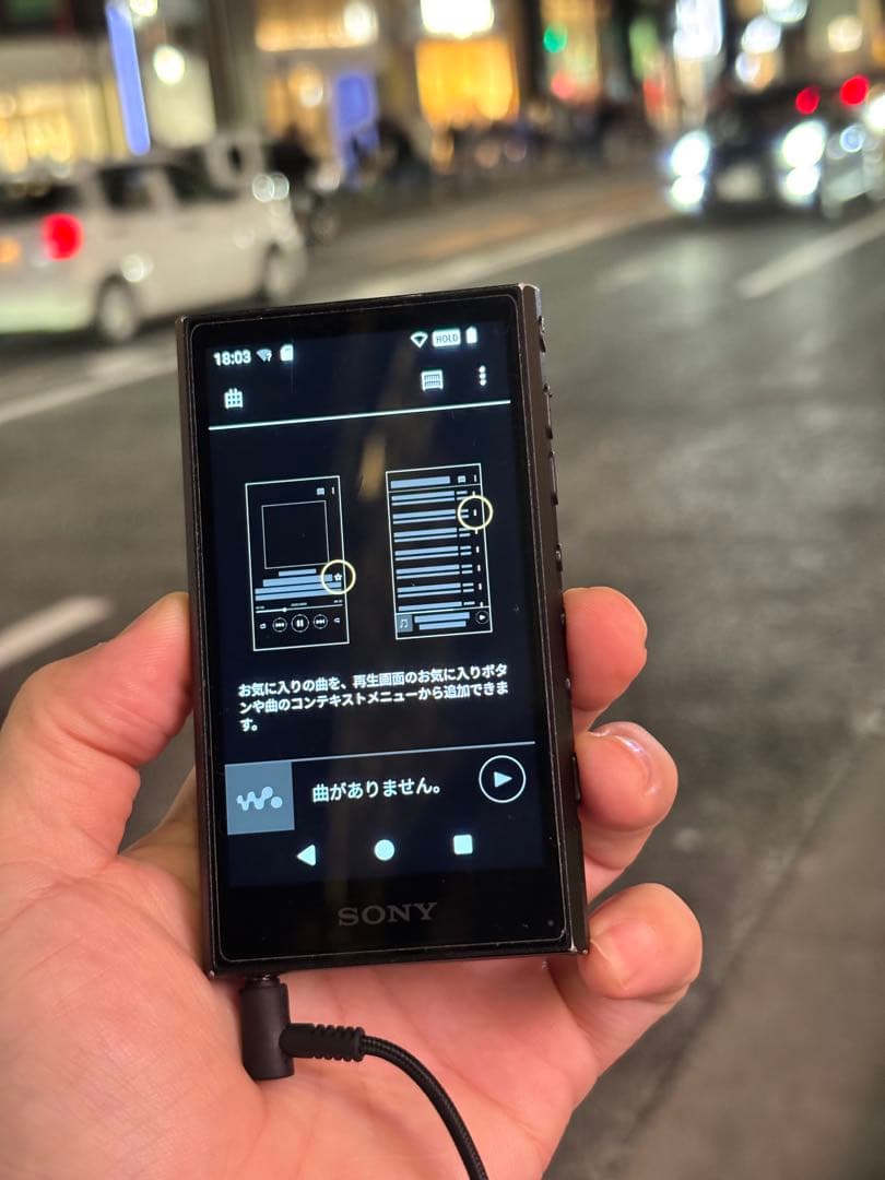 SONY Walkman NW-A306 （32GB）