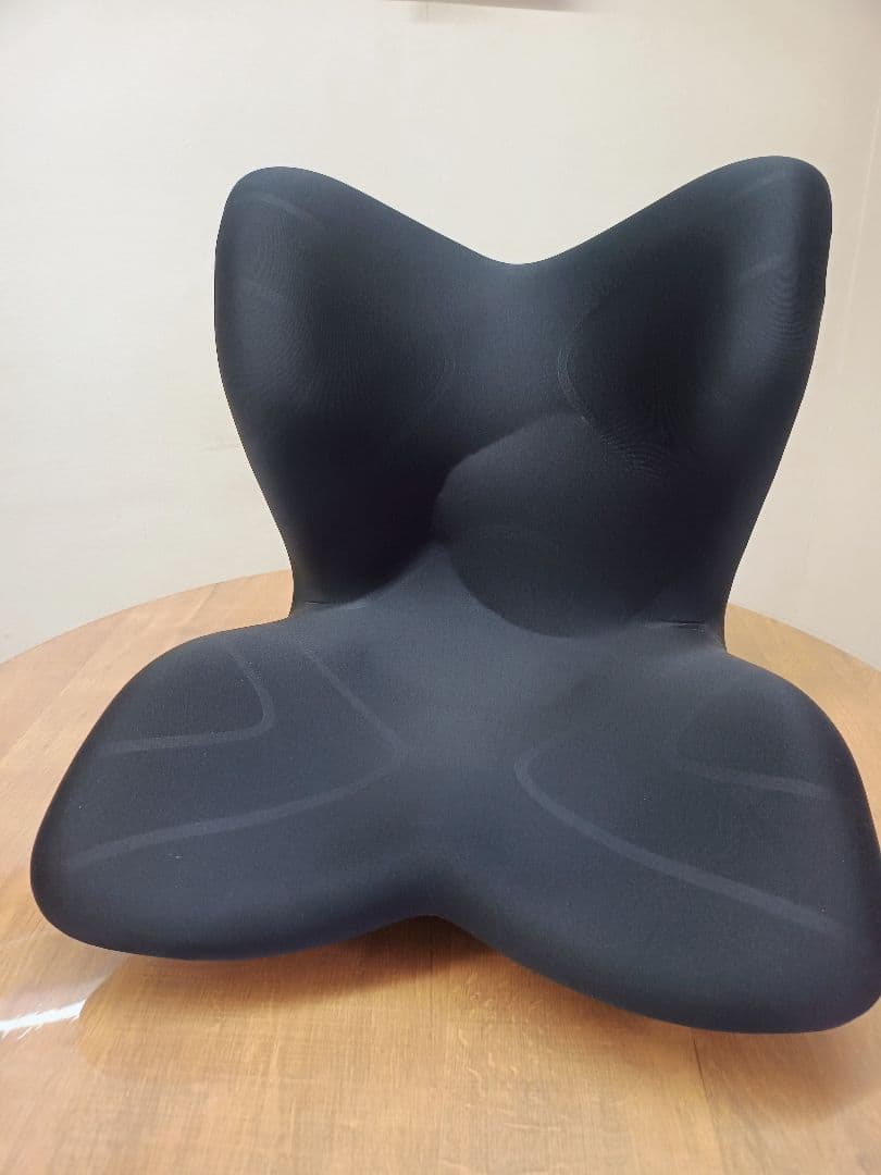 【美品】スタイルプレミアム MTG 骨盤クッション姿勢サポート ブラック