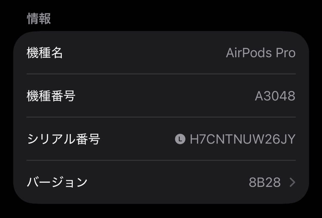 Apple AirPods Pro 第2世代 USB-C 両耳 [14]