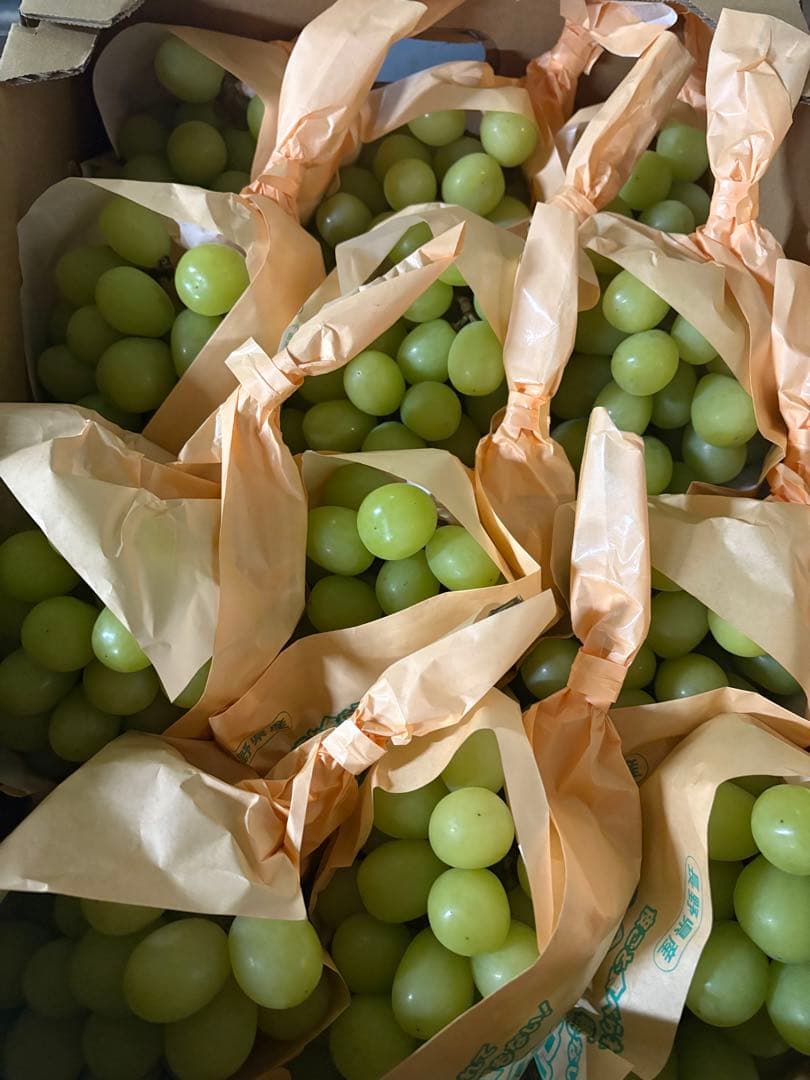 長野県産　シャインマスカット　12房セット　5kg 秀品！