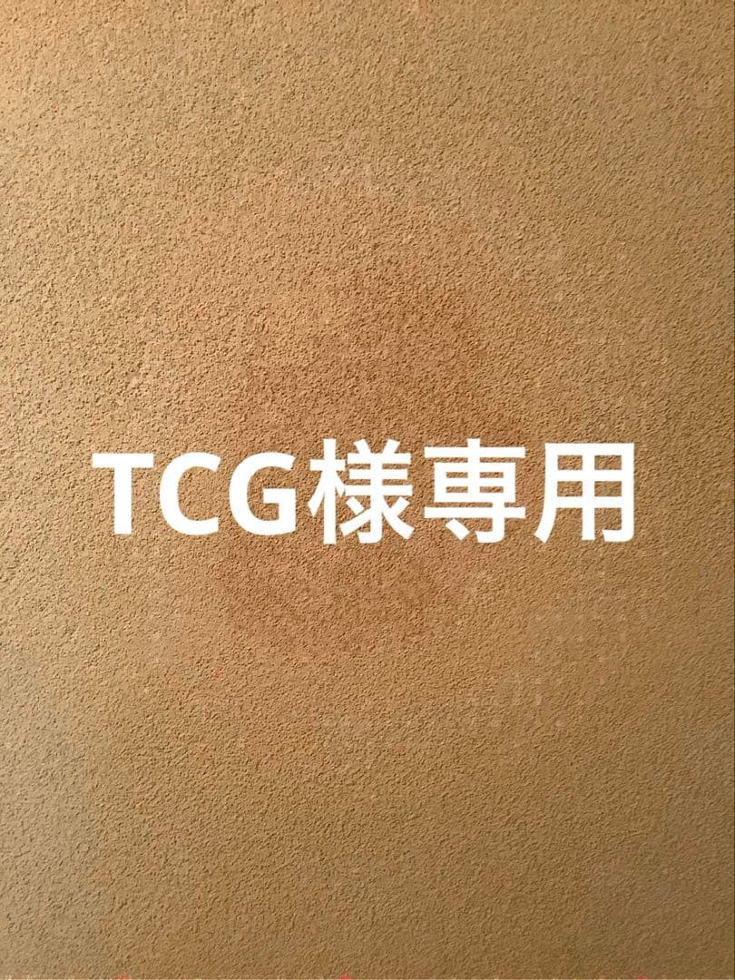 ポケモンカードゲーム TCG