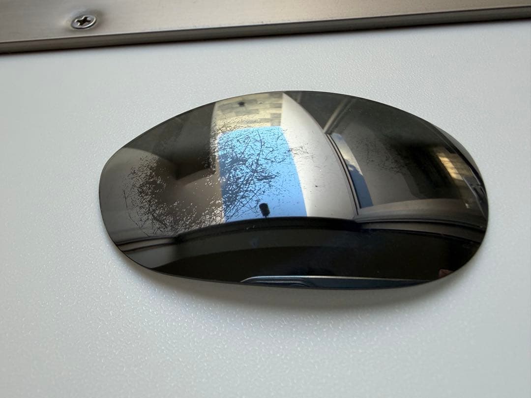 て*う様 OAKLEY DUCATI MONSTER DOG モンスタードッグ