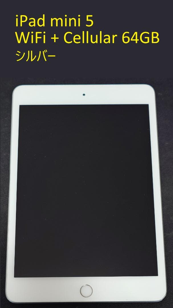 iPad mini 第5世代 WiFi+Cellular 64GB