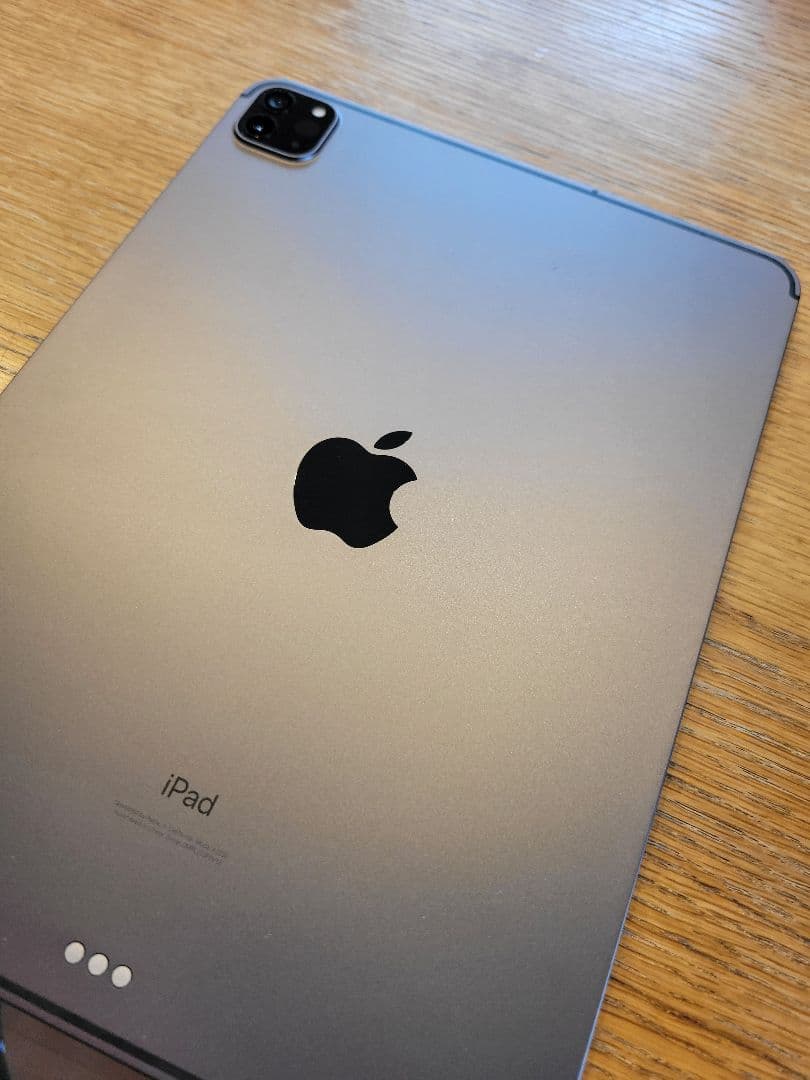 【ラッキー様用】Apple iPad Pro スペースグレー 本体