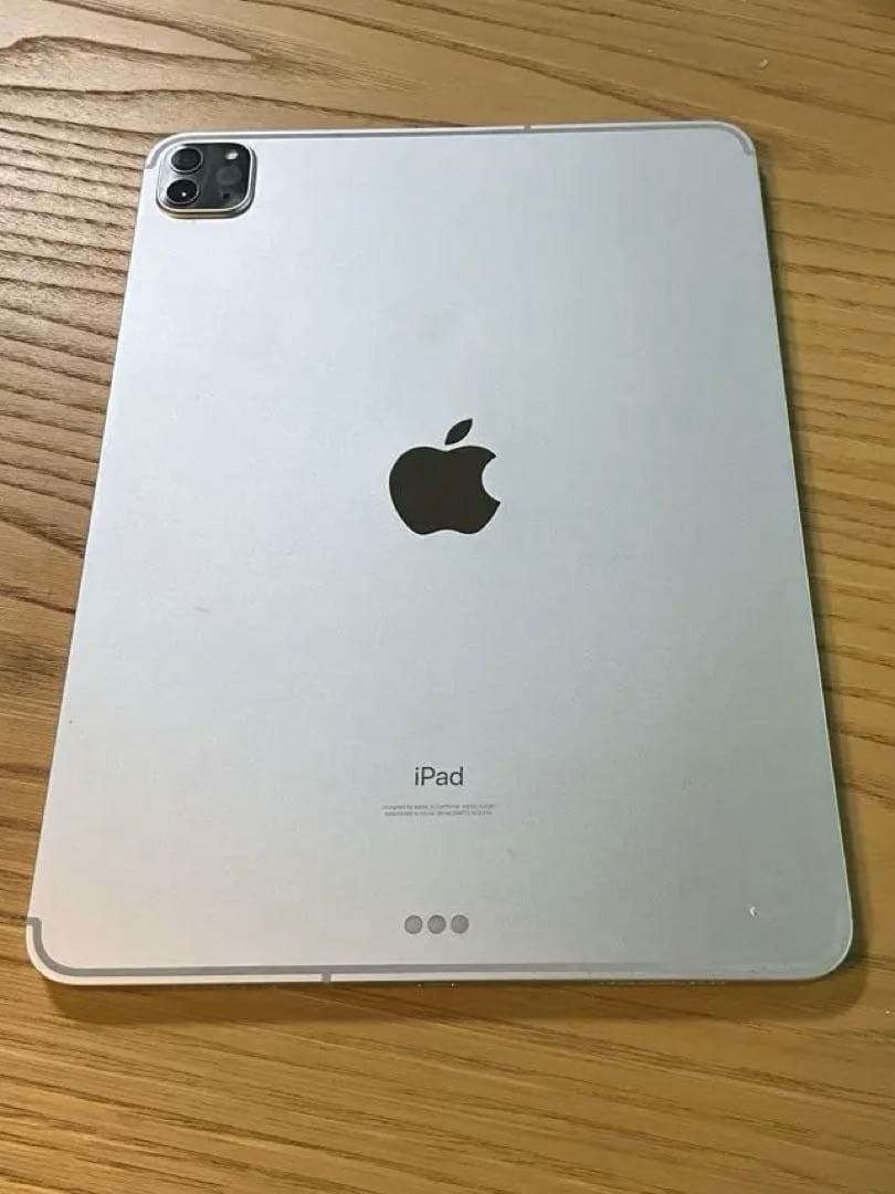 iPad Pro (第2世代) 11インチ 128GB Cellular
