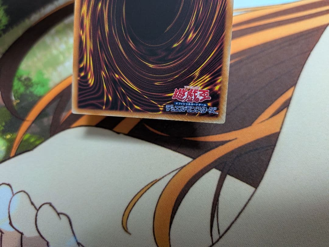 The Fallen＆The Virtuous　ザフォールンアンドザヴァーチャス