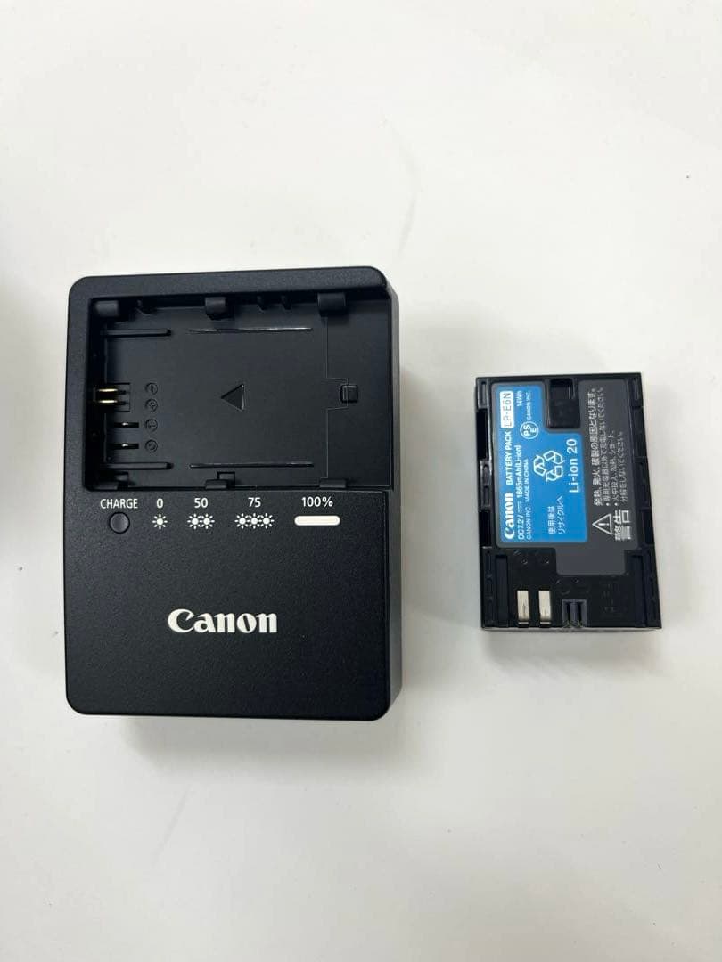 Canon EOS 6D Mark II 本体　ズームレンズセット