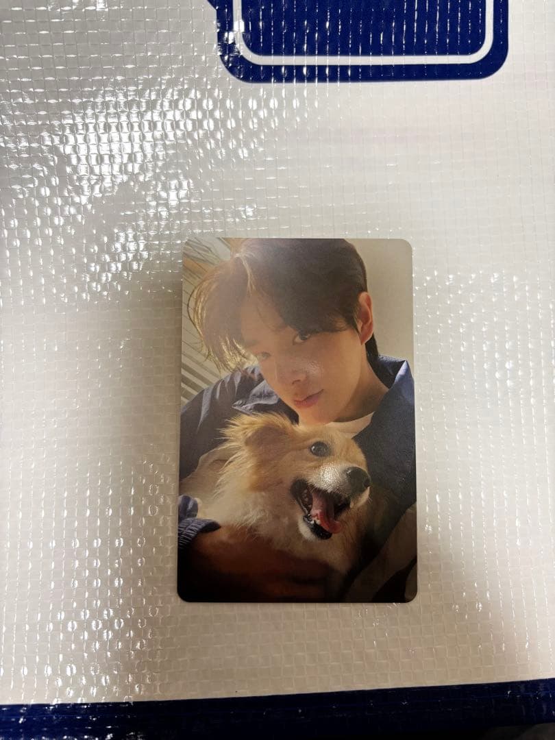 ENHYPEN ジェイク アンケートトレカ