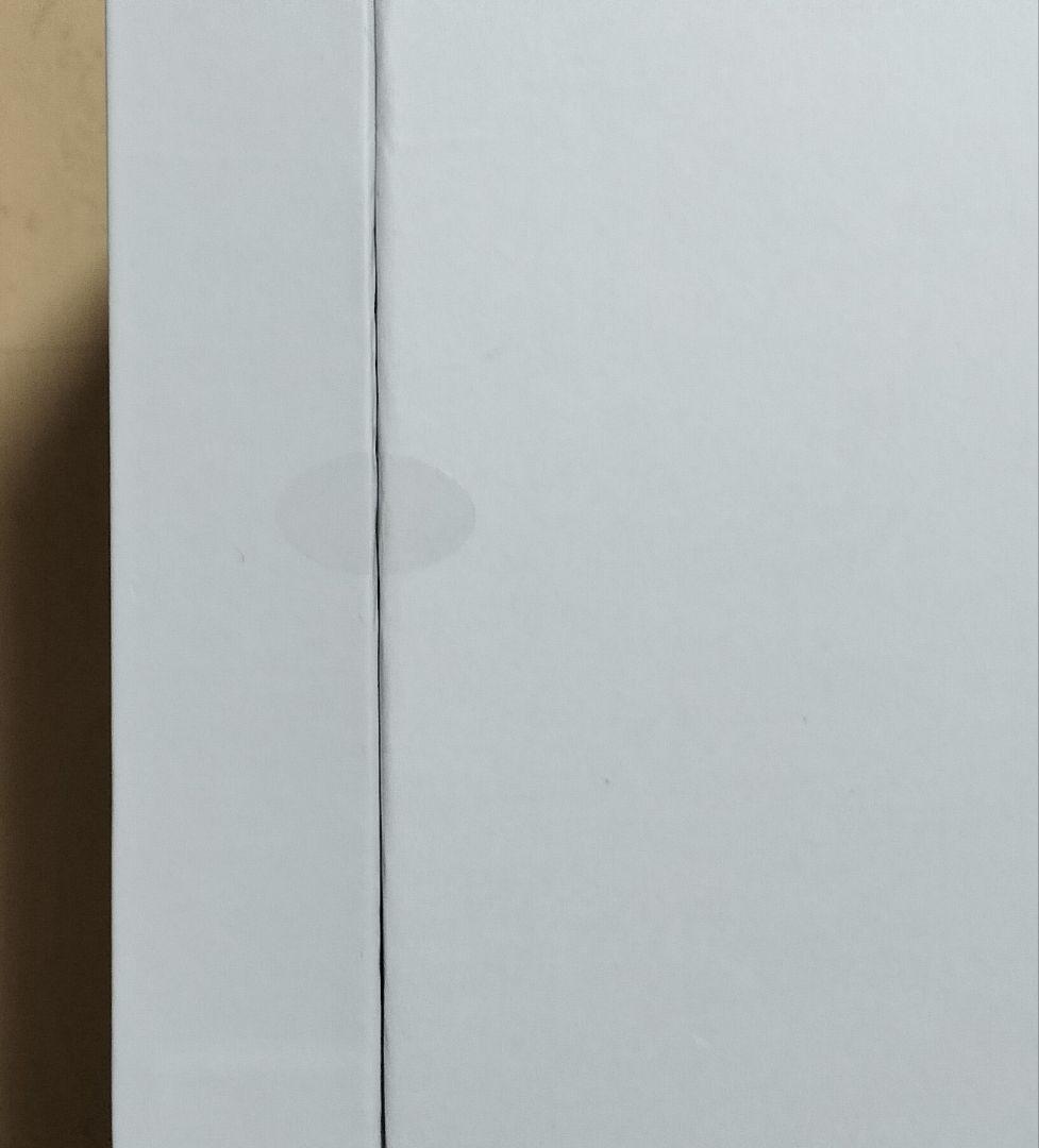 ボディ・フェイスケア SALONIA PURE BRIGHT STEAMER