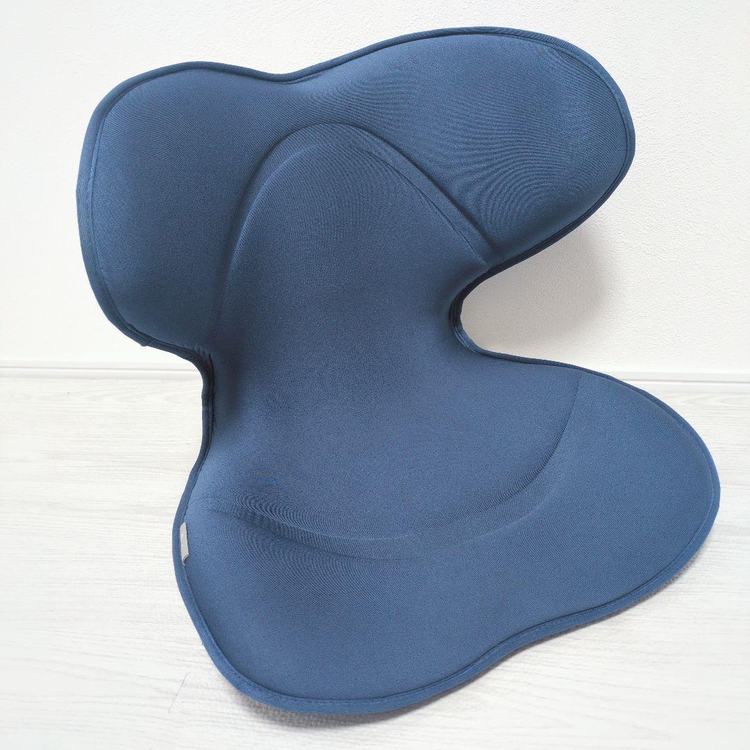 ✨️美品✨️スタイルスマート MTG StyleSMART 骨盤矯正 姿勢矯正