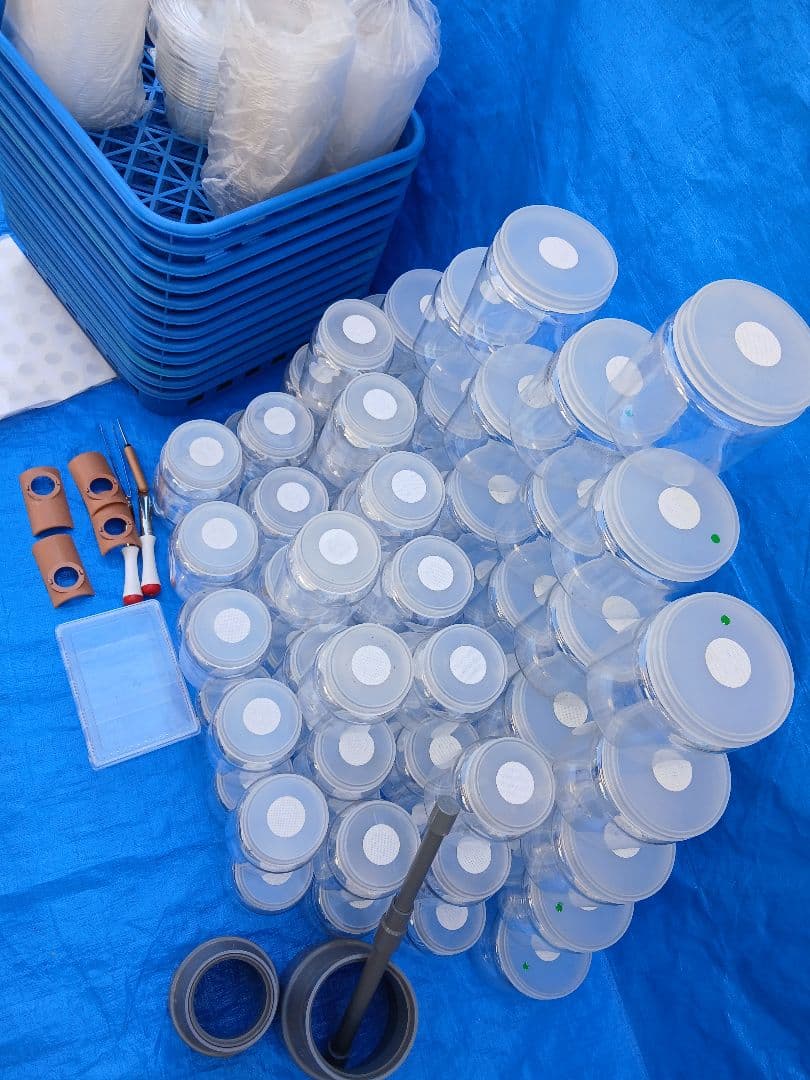 硬質クリアボトル、ボトルコンテナーなど幼虫飼育セット