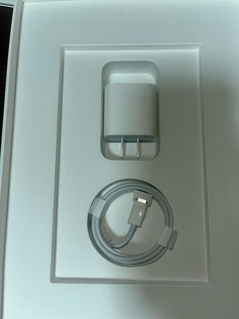 iPad (第9世代) 256GB+smartkeyboard＋背面ケース