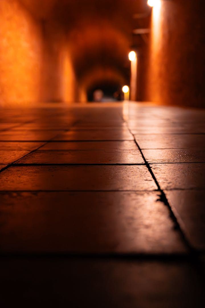 SONY FE 24-70mm F2.8 GM Ⅱ ズームレンズ