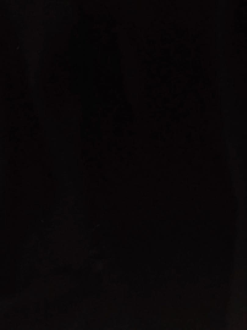 ポケモンフィギュア