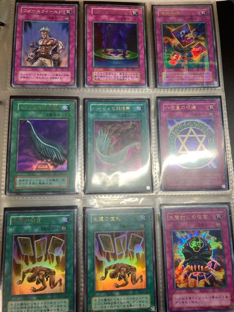 ハーピィの羽根帚、心変わり、山、硫酸のたまった落とし穴、鎖付きブーメラン等など