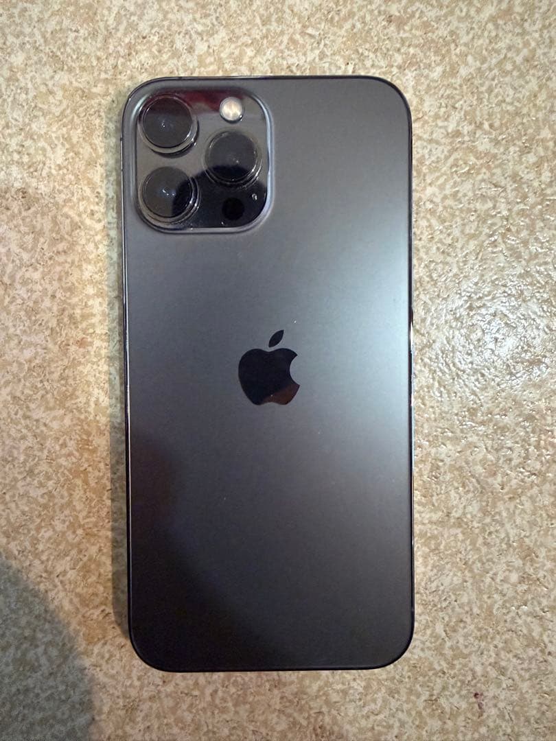 Apple iPhone 13 Pro Max 128GB カメラ0.5倍不可