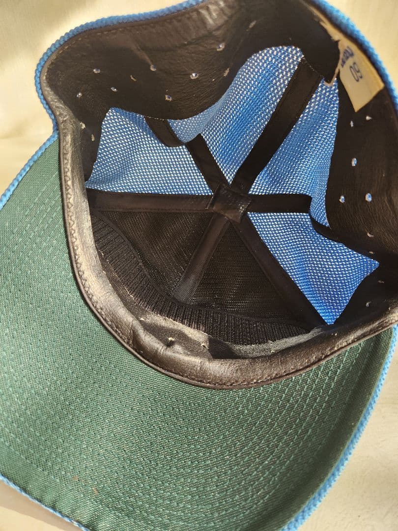 西武ライオンズ プロコレ