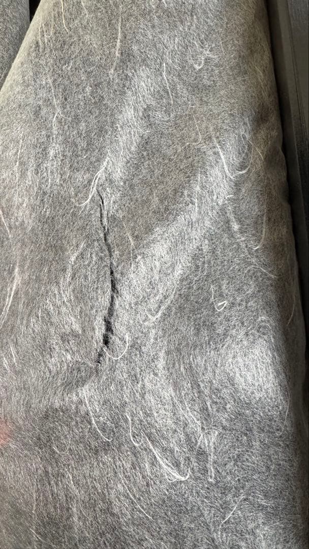 【空瓶】十四代 龍月、白雲去来　2020年〜